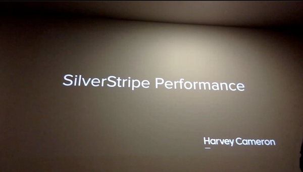 SilverStripe 4 Performance