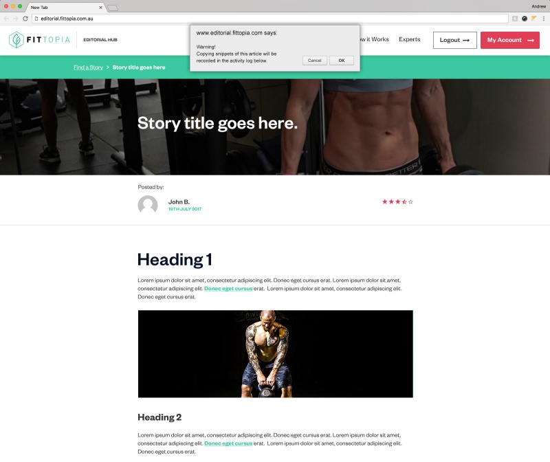 Fittopia Editorial Hub Media 