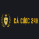 cacuoc24hnet's avatar
