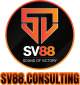 SV88Consulting's avatar