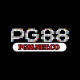 pg88netco's avatar