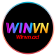 winvnad's avatar