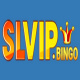 slvipbingo's avatar