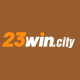 23wincity's avatar