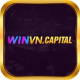 winvncapital's avatar