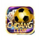 choangclubvip's avatar