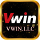 VWIN LLC's avatar