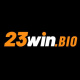 23winbio's avatar