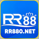 rr880net's avatar