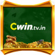 cwintvin's avatar