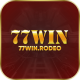 77winrodeo's avatar