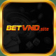 betvndsite's avatar