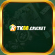 tk88cricket's avatar