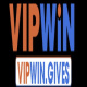 vipwingives's avatar