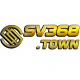 sv368town's avatar