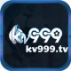 kv999tv's avatar