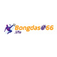 bongdaso66life's avatar