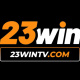 23wintvcom's avatar