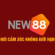 Game bài new88's avatar