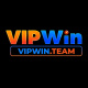 Vipwin team's avatar