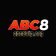 abc8viporg's avatar