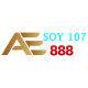 ae888soy107's avatar