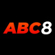 abc8skicom's avatar