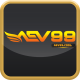 aev99cool's avatar