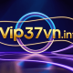 conggamevip37vn's avatar