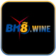 bk8wine's avatar