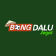 bongdalulegal's avatar