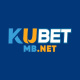 kubetmbnet's avatar