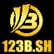 123bfm's avatar