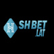 shbetlat's avatar