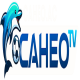caheotvac2's avatar