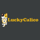 luckycalicocomph's avatar