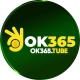 ok365tube's avatar