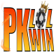 pkwinlol's avatar