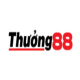 thuong88com's avatar