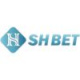 shbet8ltd's avatar