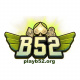 playb52org's avatar