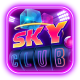 skyclubonline's avatar