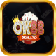 ok88ltd's avatar