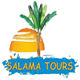 salamatours's avatar