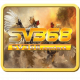 sv368contact's avatar