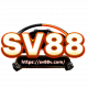 sv88vcom's avatar