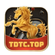 tdtc03g's avatar