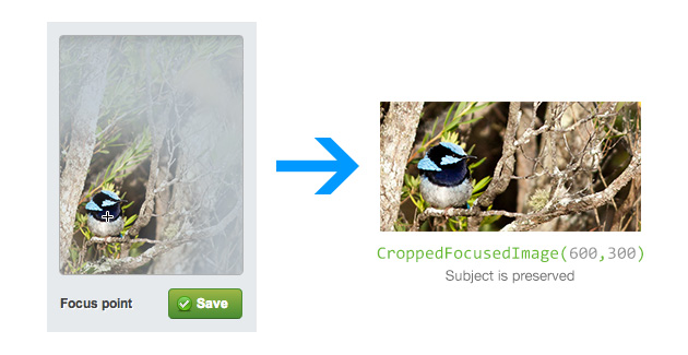 After using FocusPoint crops account for subjects in images